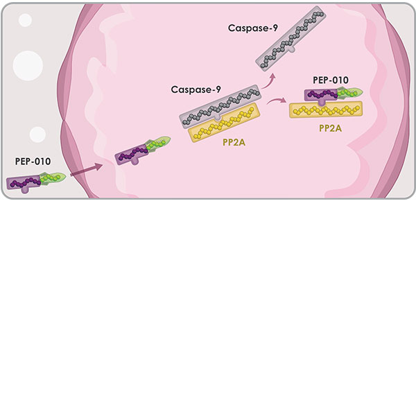 image_Case 4_600_text