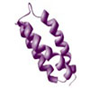 Peptide-Violet